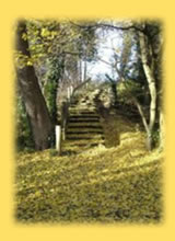 park