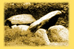 steinhaus